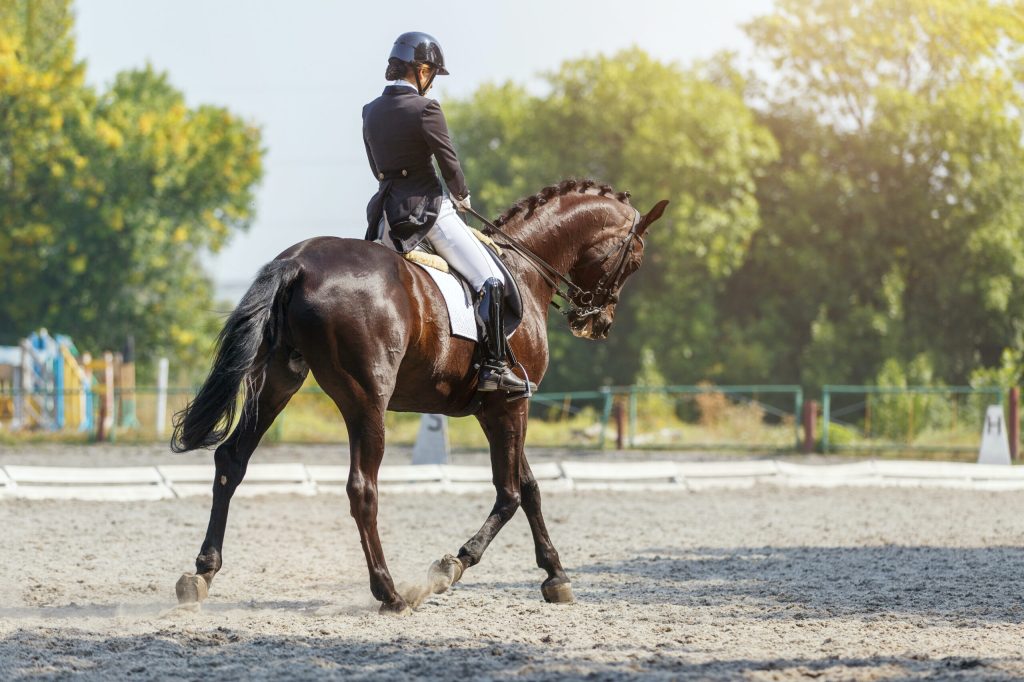 We Asked an Expert How Many Times It’s OK to Whip a Horse in the Space of One Minute