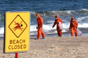 foul-smelling-fatbergs-are-invading-sydney-beaches