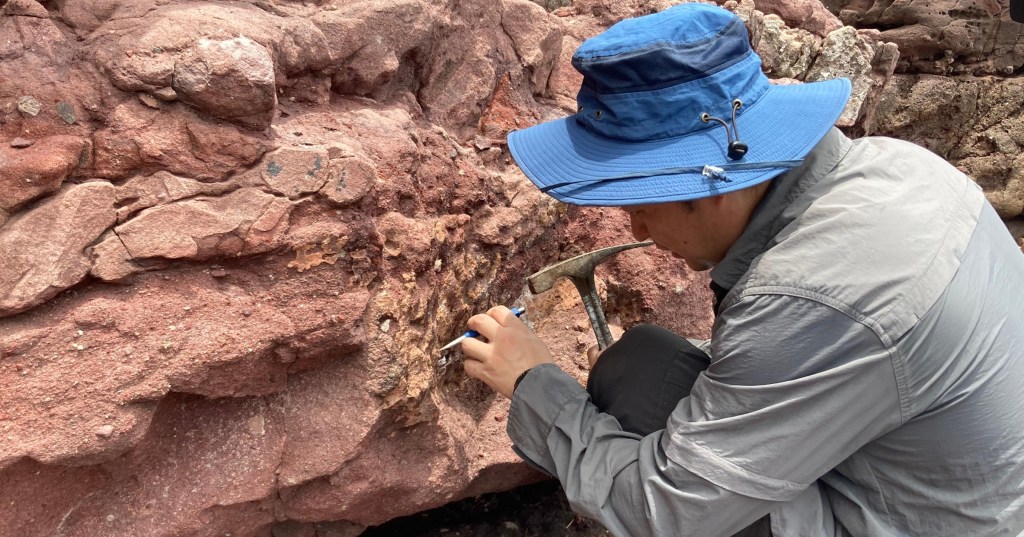 Dinosaur Fossils Discovered in Hong Kong for the First Time