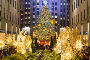 rockefeller-christmas-tree-coming-from-massachusetts-for-the-first-time-since-1959