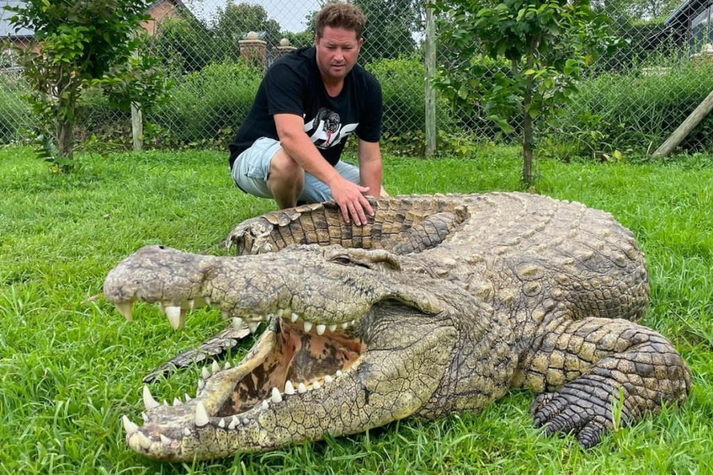 south-africas-steve-irwin-graham-dingo-dinkelman-dies-at-44-from-venomous-snake-bite