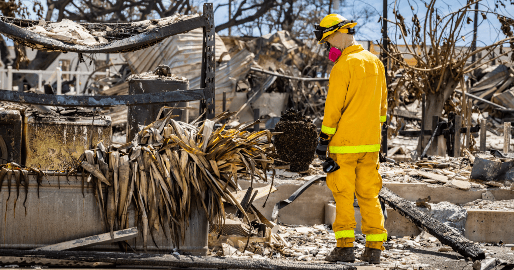 Investigation Reveals Cause of Deadly Maui Wildfire